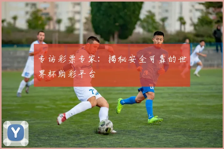 专访彩票专家:揭秘安全可靠的世界杯购彩平台