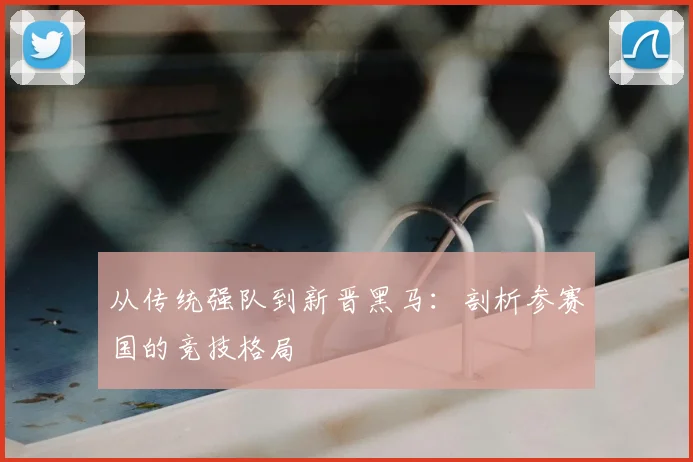 从传统强队到新晋黑马：剖析参赛国的竞技格局