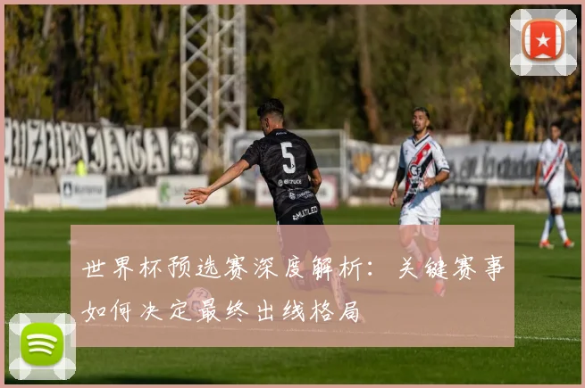 世界杯预选赛深度解析:关键赛事如何决定最终出线格局