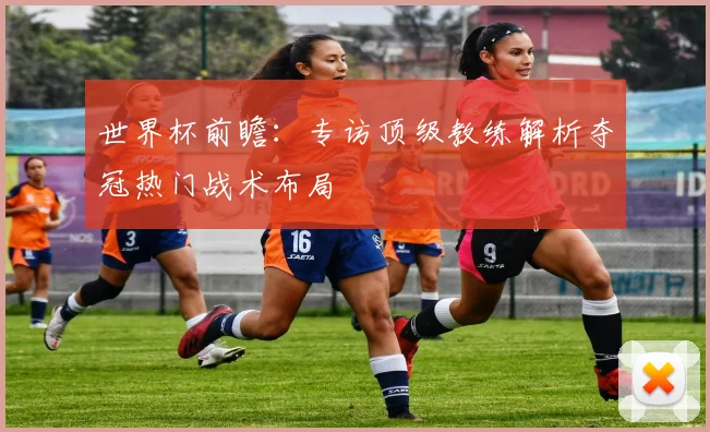 世界杯前瞻：专访顶级教练解析夺冠热门战术布局