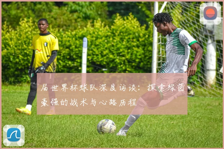 届世界杯球队深度访谈：探索绿茵豪强的战术与心路历程