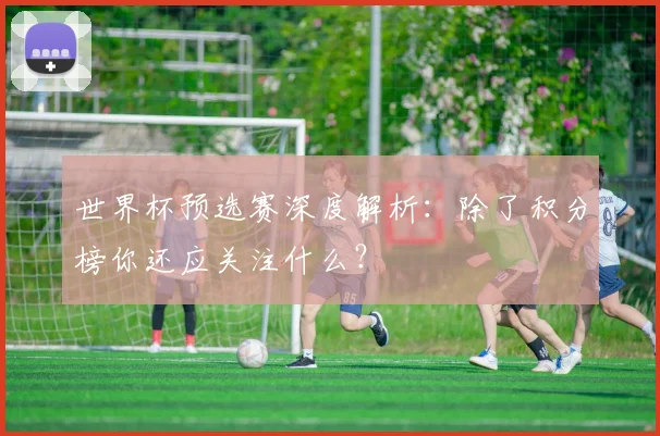 世界杯预选赛深度解析:除了积分榜你还应关注什么?