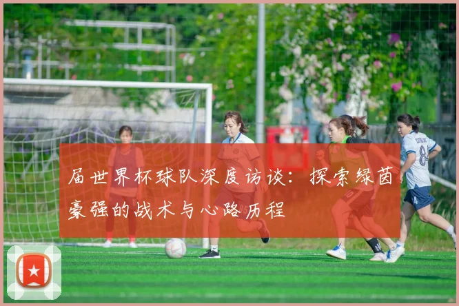 届世界杯球队深度访谈：探索绿茵豪强的战术与心路历程
